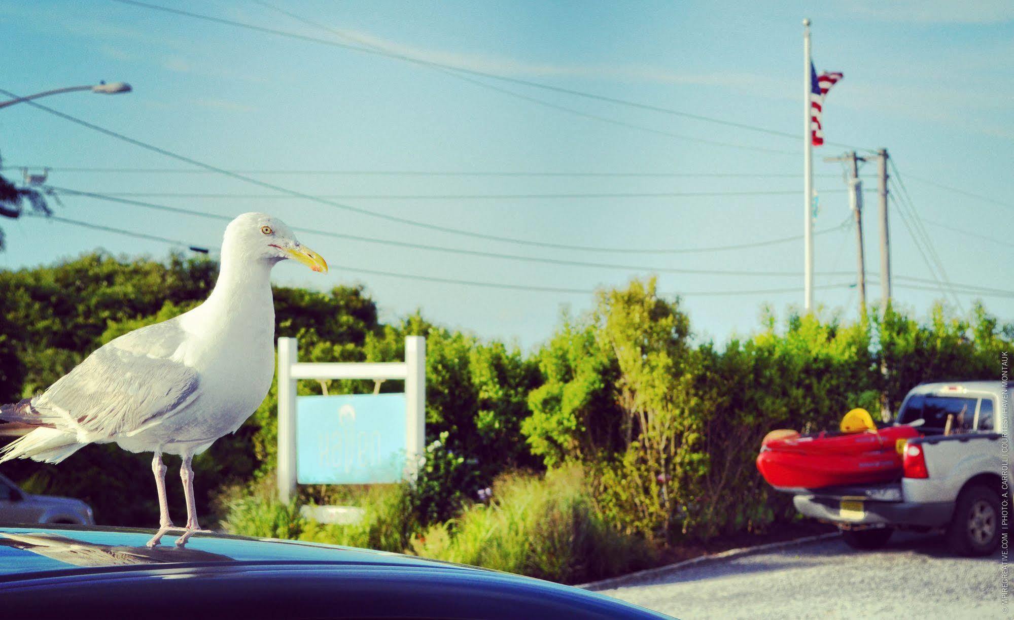Hotel Haven Montauk Esterno foto